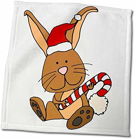 3dRose Забавен Сладък Заек в шапката на Дядо Коледа от коледните карикатура - Кърпи (twl-270085-3)